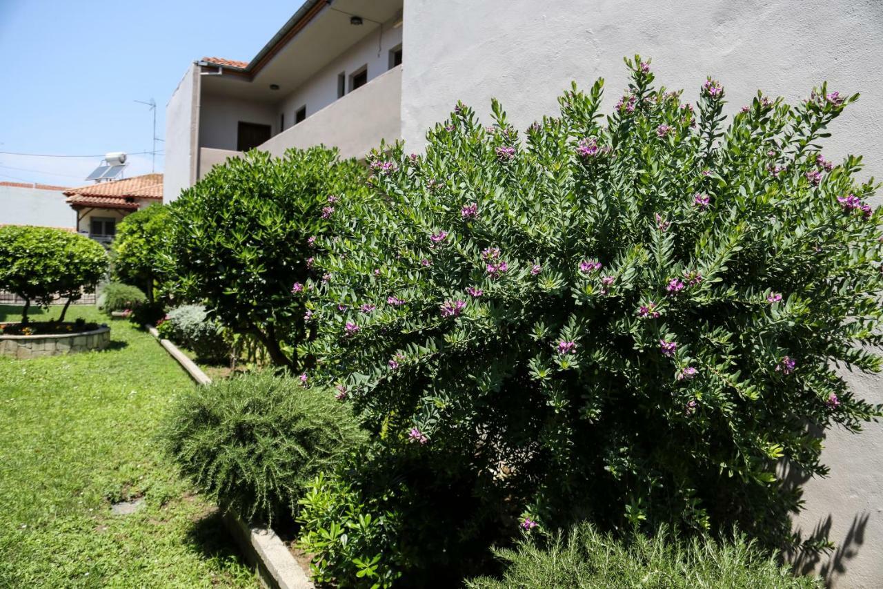 Yannis Apartments Afytos Exterior photo
